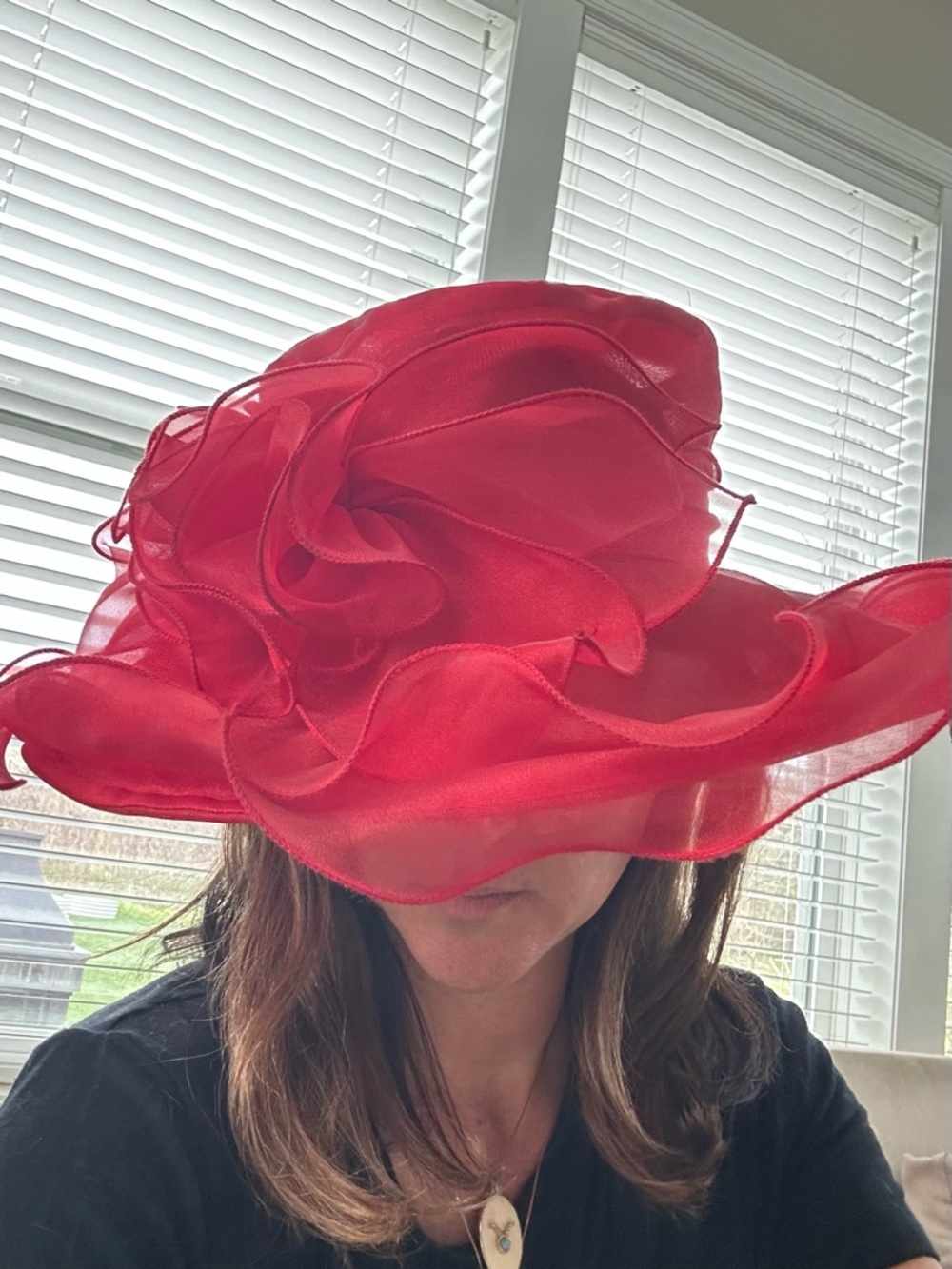 Red Kentucky Derby Hat Wide Brim Statement Fascinator